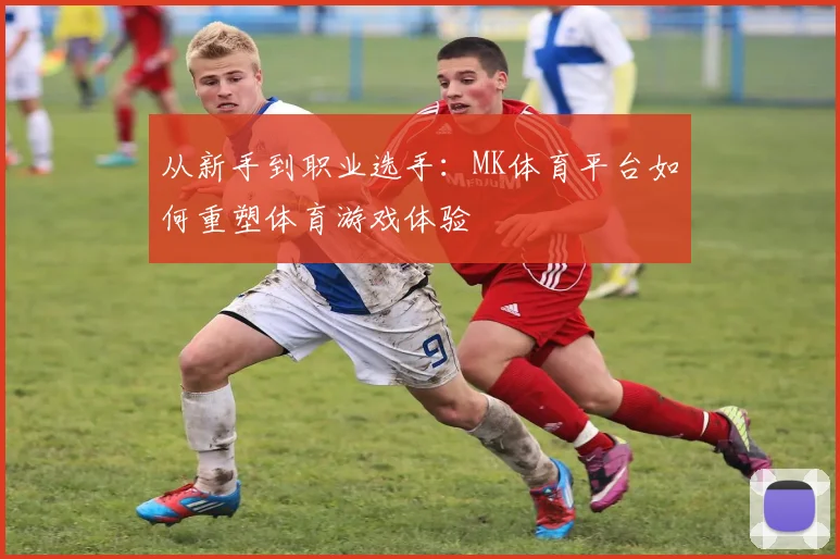 从新手到职业选手：MK体育平台如何重塑体育游戏体验