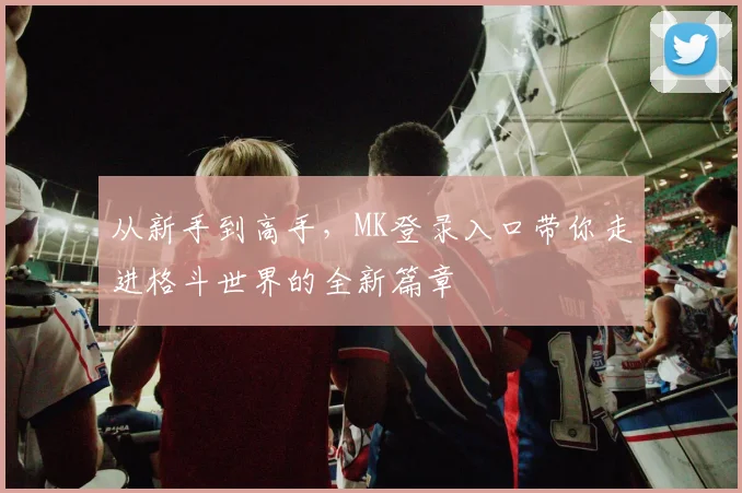 从新手到高手，MK登录入口带你走进格斗世界的全新篇章