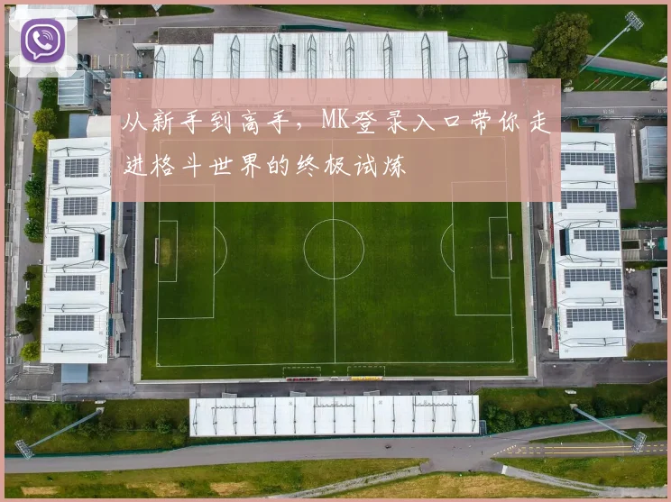 从新手到高手，MK登录入口带你走进格斗世界的终极试炼