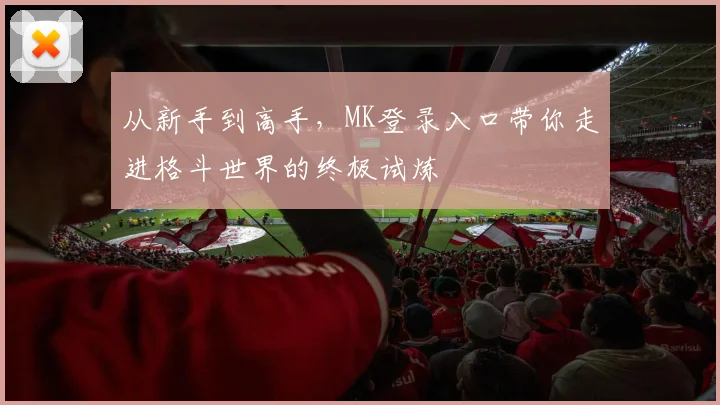 从新手到高手，MK登录入口带你走进格斗世界的终极试炼